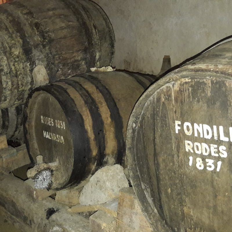 72474910_2623454287750419_7040043644069347328_n