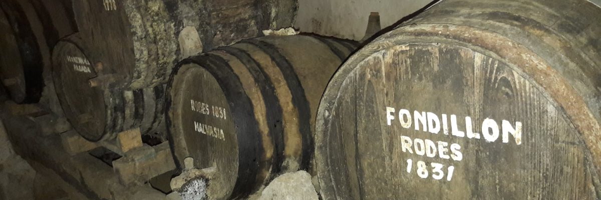 72474910_2623454287750419_7040043644069347328_n