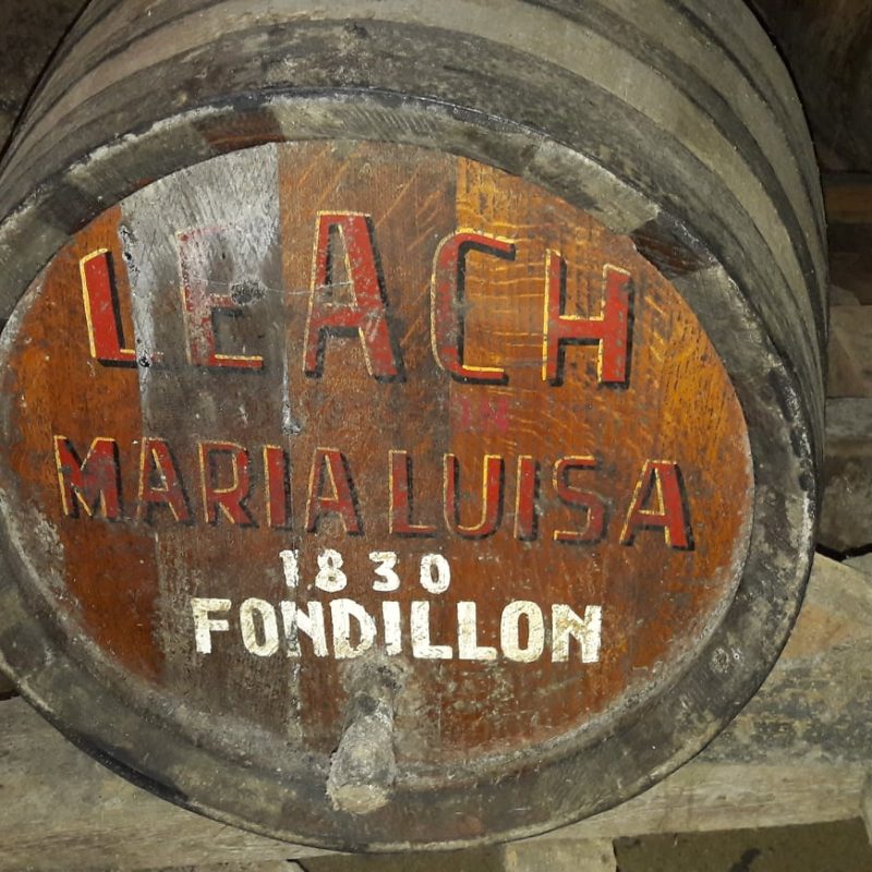 75485942_2623454271083754_5674996264513568768_n