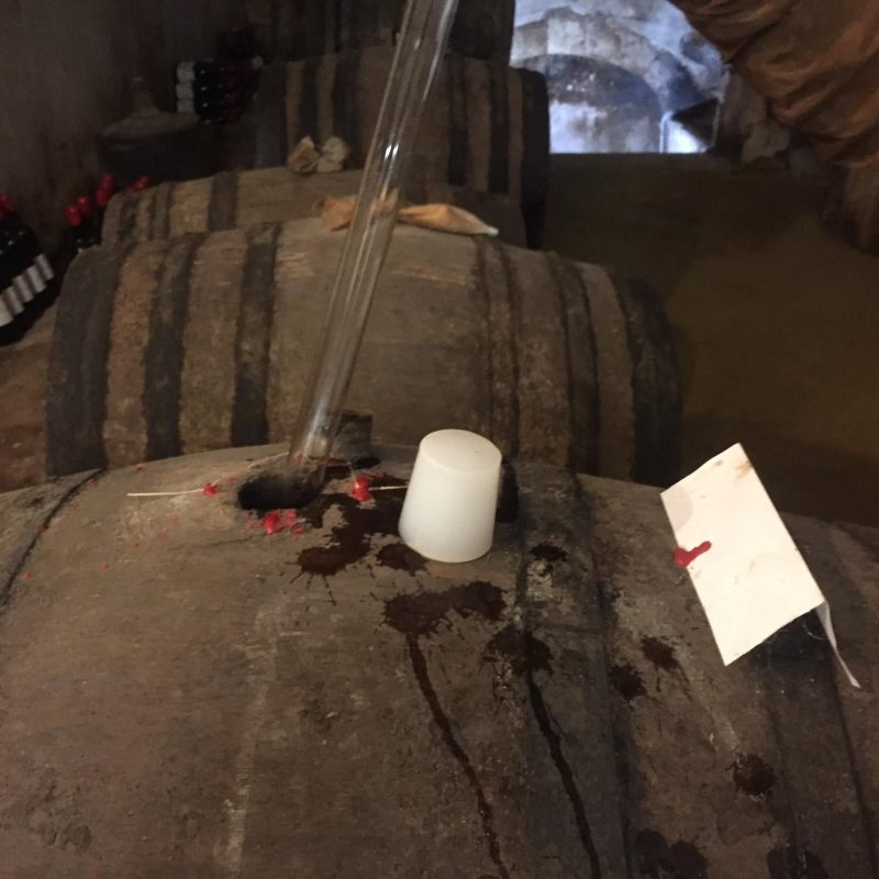 76946659_2623458321083349_4977308153315065856_n