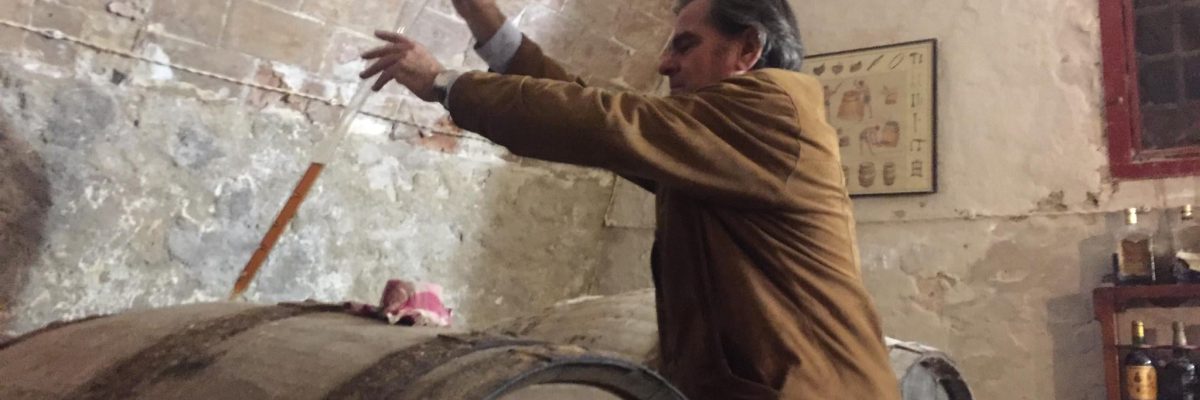 77353544_2623458341083347_3820388429292634112_n