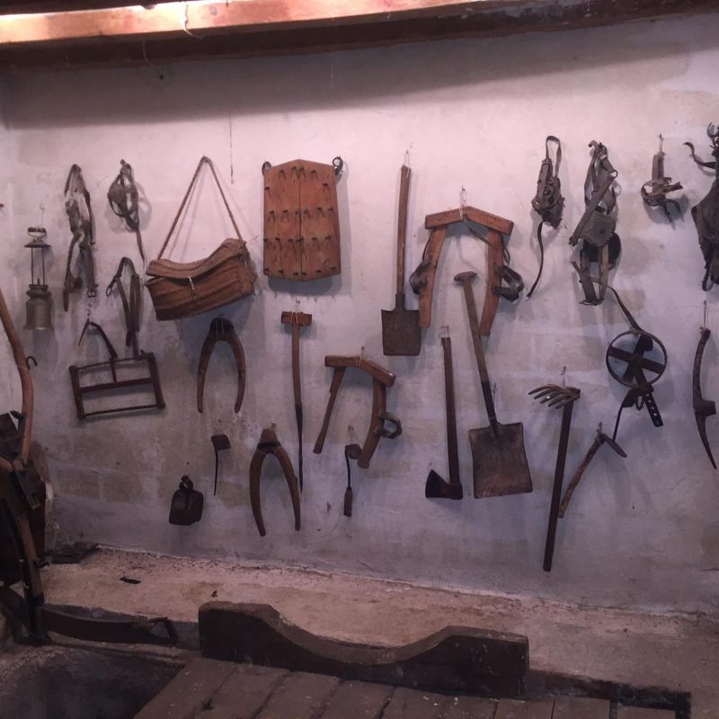 77367601_2623452904417224_5465335868296265728_n