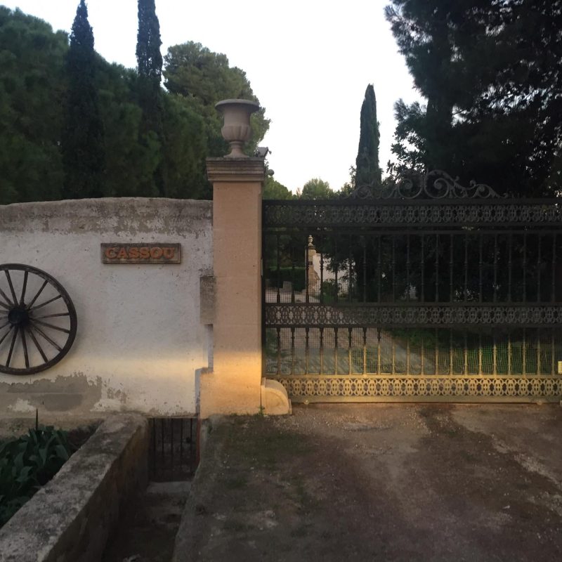 78052602_2623429294419585_1313144679763542016_n