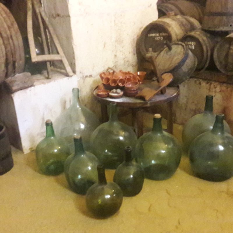 78398165_2623452897750558_1638101115104919552_n